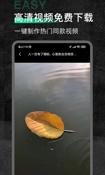 今日素材最新版 v1.0.5 安卓版 0