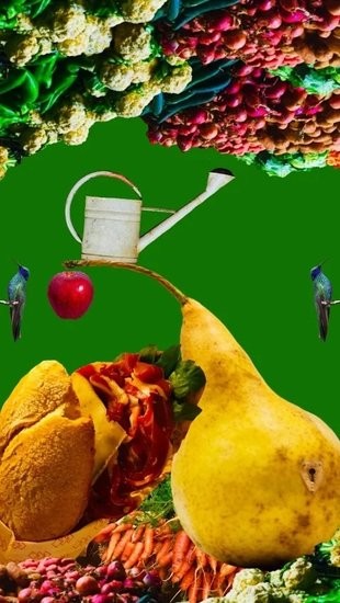 無夢房間游戲 v1.0.1 安卓版 1