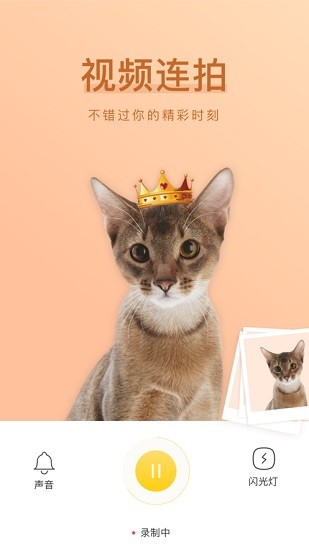 萌仔相機(jī)-寵物相機(jī) v3.0.0 安卓版 0