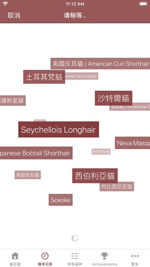 cat scanner猫咪鉴定器最新版 v12.8.15 安卓版2