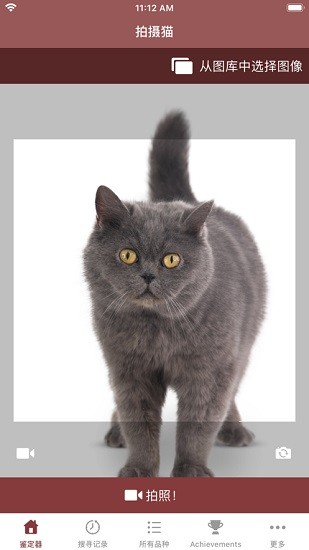 cat scanner猫咪鉴定器最新版 v12.8.15 安卓版0