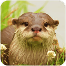 水獺模擬經(jīng)營游戲(the otter)