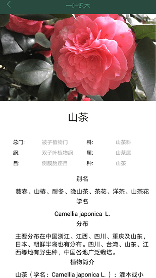 一叶识木 一叶识木app