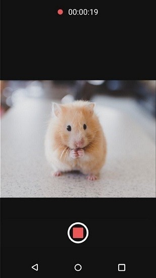 可變焦距相機(jī)安卓版 v8.1.0 最新版 1