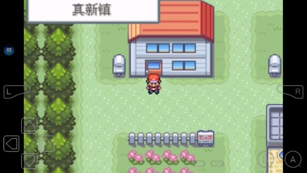 口袋妖怪圣魂之魄自帶作弊版 口袋妖怪圣魂之魄游戲