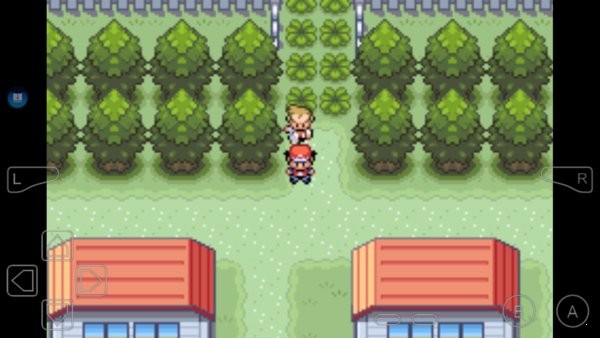 口袋妖怪圣魂之魄自帶作弊版 v1.0 安卓版 1