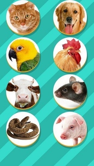 pet translator寵物對話翻譯器 v1.1 安卓中文版 2