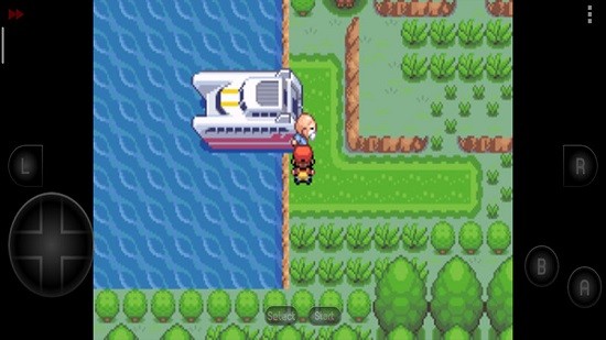 口袋妖怪新世界彼岸花綻放之夜