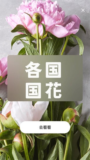 照片轉(zhuǎn)動(dòng)漫人物app v1.0.0 安卓版 2