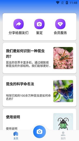 picture insect 精简版 picture insect app
