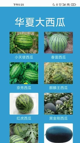 華夏大西瓜app v2.0 安卓版 0