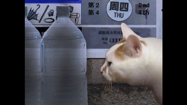 翌日貓之怪奇譚手游 v1.0 安卓版 2