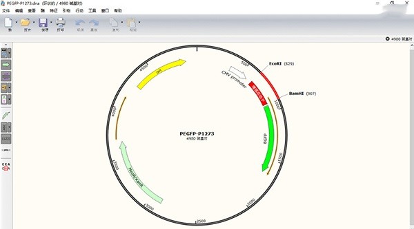 snapgene軟件正版