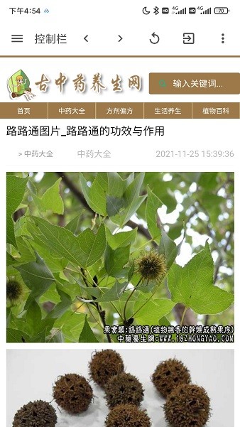 古中藥養(yǎng)生網(wǎng)app v6.6 安卓版 2