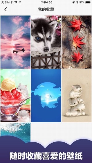 小熊壁紙app下載