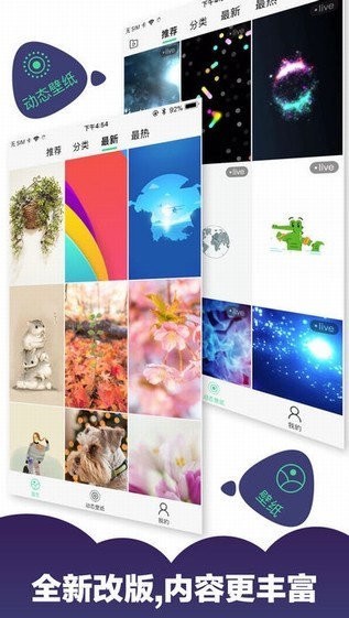小熊壁紙全面屏 v1.1 安卓版 2