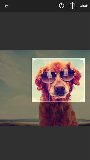 照片調(diào)整器軟件 v1.3.0 安卓版 1