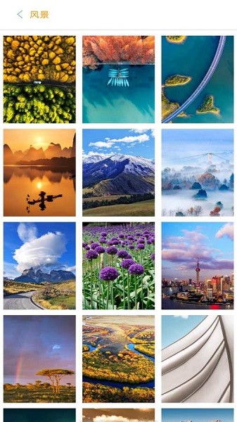 喵紙專區(qū)app v2.6.9.6 安卓版 0