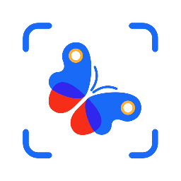 Picture Insect 精簡(jiǎn)版