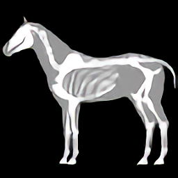 馬匹解剖模擬器3d(3D Horse Anatomy Software)