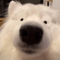 我的世界海賊王生存模組