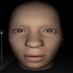 顏面運(yùn)動會最新版(UndoukaiAndroidHorrorgame2)