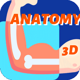 人體骨骼最新版