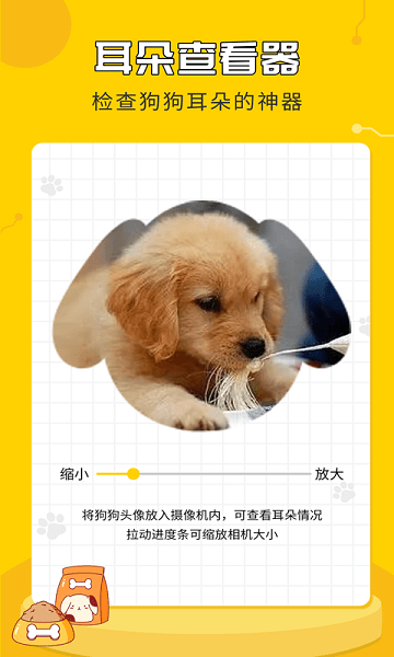 人狗翻譯神器 v4.4.7 最新版 2