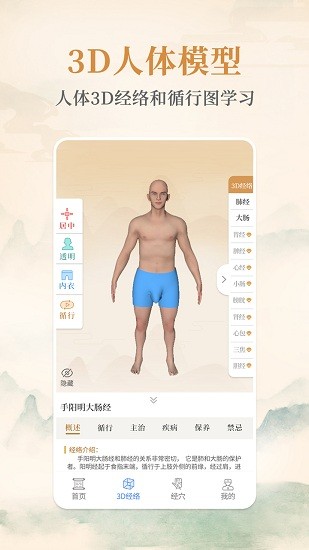 經(jīng)絡(luò)穴位圖解下載