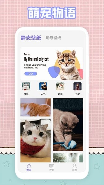 我的貓咪壁紙下載 我的貓咪app下載