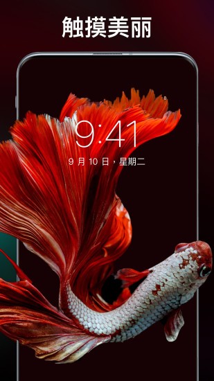 靈貓主題壁紙 v1.0.2 安卓版 0