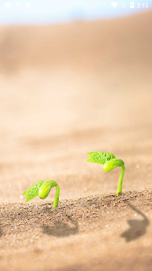 美芽Life圖文編輯app v1.0.1 安卓版 1