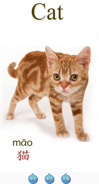 天天動物app v1.0 安卓版 1