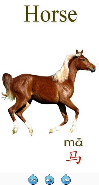 天天動物app軟件 天天動物安卓版