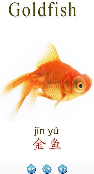 天天動物app v1.0 安卓版 3