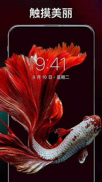 動(dòng)態(tài)主題壁紙超清軟件app下載