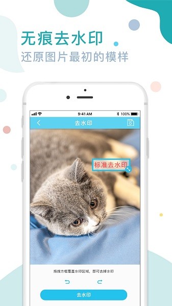 證件照水印專家軟件下載 證件照水印專家app下載