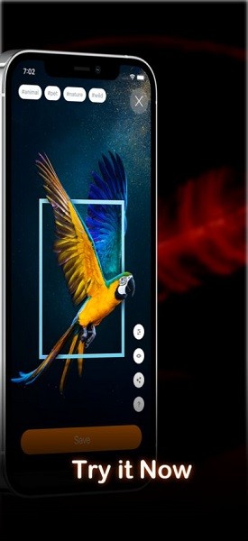 airlive 4k動態(tài)壁紙 v1.0.2 安卓版 0