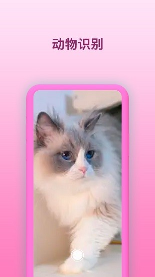 智能識花app v2.0.0 安卓版 2