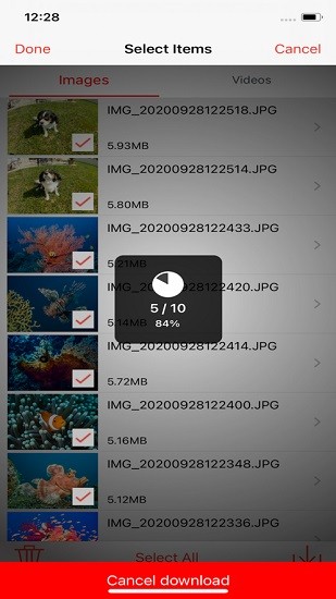 reefmaster app(rm-4k水下相機(jī)) v1.4.6 安卓版 3