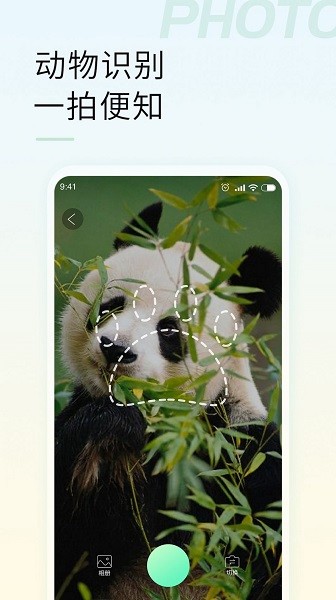 智能拍照識(shí)物 v1.2.2 安卓版 3
