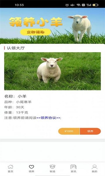 哇塞我的羊 v0.0.1 安卓版 3
