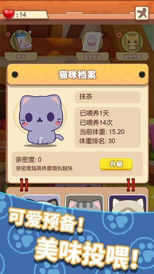 養(yǎng)只大肥貓最新版0