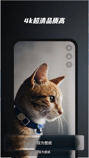 ai壁紙 v1.0 安卓版 3