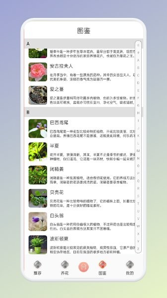 拍照識(shí)花識(shí)別植物app v1.1 安卓版 1