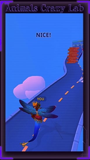 動物瘋狂實驗室(animals crazy lab) v1.4.1 安卓版 0