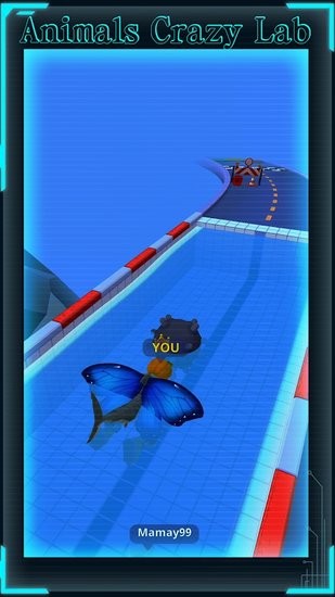 動物瘋狂實驗室(animals crazy lab) v1.4.1 安卓版 2