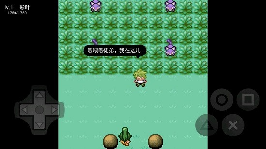 口袋妖怪污濁手機版 v0.12 安卓版 3