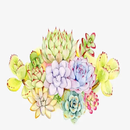 小草多肉日記軟件