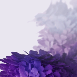 三星s20高清壁紙4k